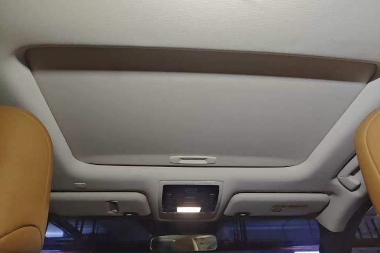 Used Lexus UX New Energy 2020 300e Pure·Joy Edition Headliner