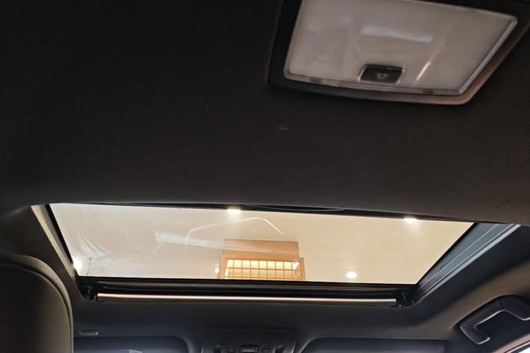 Used Lexus UX New Energy 2020 300e Pure·Joy Edition Headliner