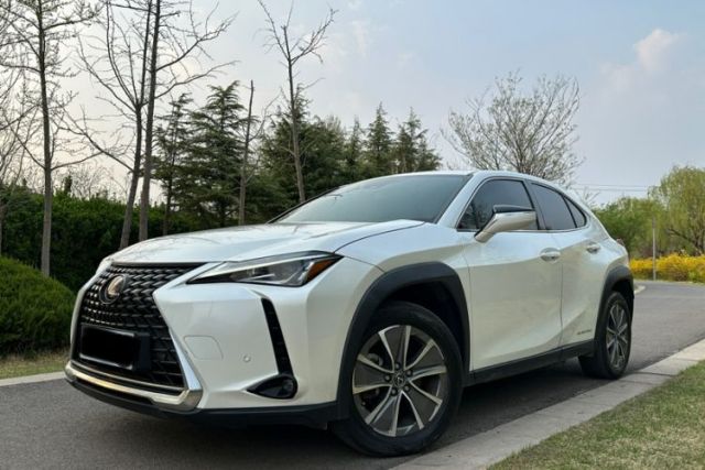 Used Lexus UX New Energy 2020 300e Pure·Joy Edition