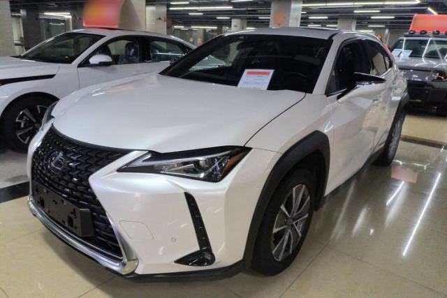 Used Lexus UX New Energy 2020 300e Pure·Joy Edition