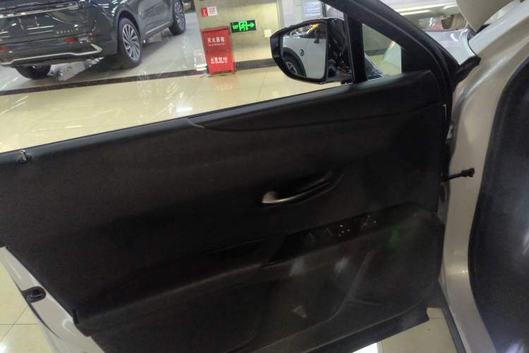 Used Lexus UX New Energy 2020 300e Pure·Joy Edition Left Front Door Interior