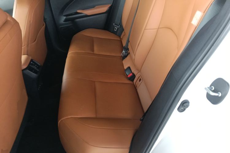 Used Lexus UX New Energy 2020 300e Pure·Joy Edition Left Rear Seat