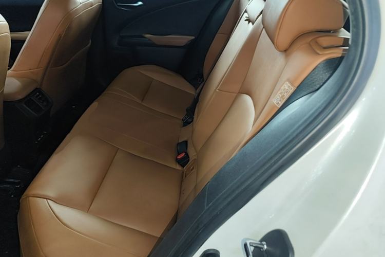 Used Lexus UX New Energy 2020 300e Pure·Joy Edition Left Rear Seat