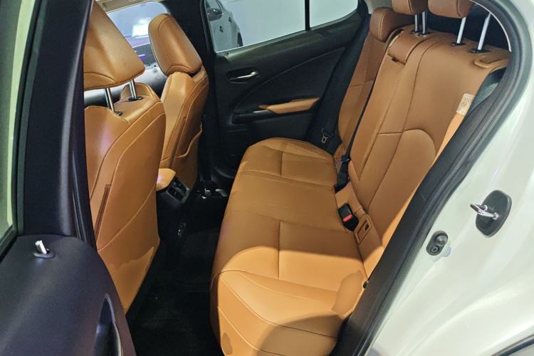 Used Lexus UX New Energy 2020 300e Pure·Joy Edition Left Rear Seat