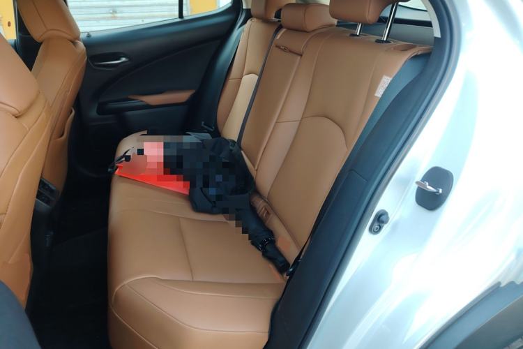 Used Lexus UX New Energy 2020 300e Pure·Joy Edition Left Rear Seat