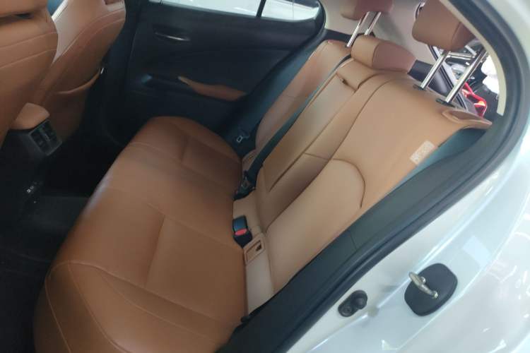Used Lexus UX New Energy 2020 300e Pure·Joy Edition Left Rear Seat