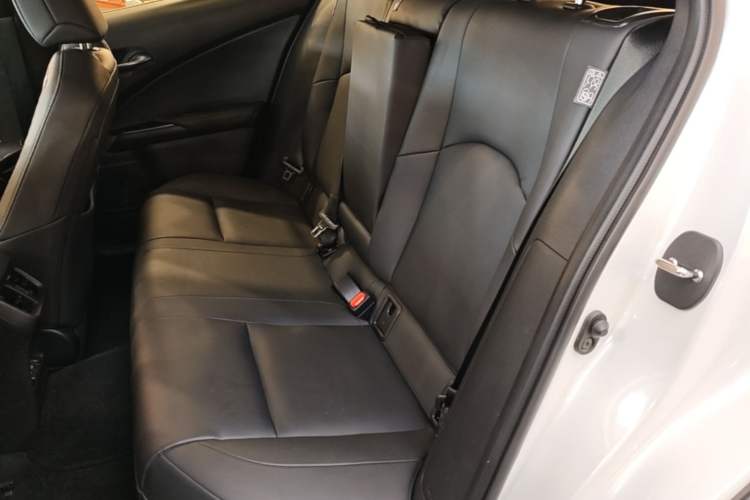 Used Lexus UX New Energy 2020 300e Pure·Joy Edition Left Rear Seat
