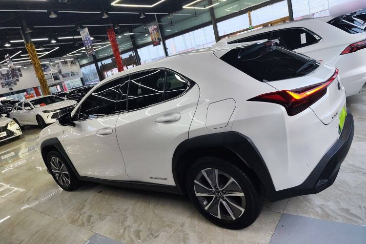 Used Lexus UX New Energy 2020 300e Pure·Joy Edition Left Side