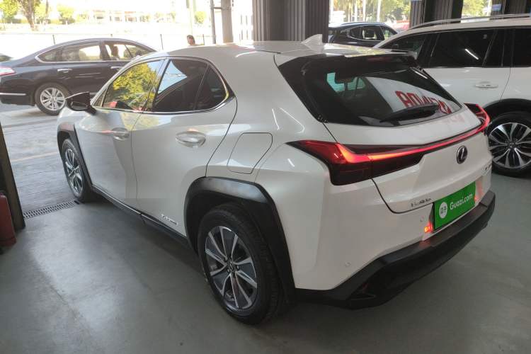 Used Lexus UX New Energy 2020 300e Pure·Joy Edition Left Side