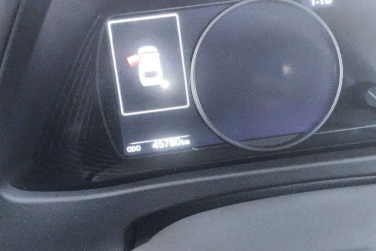 Used Lexus UX New Energy 2020 300e Pure·Joy Edition Odometer Close Up
