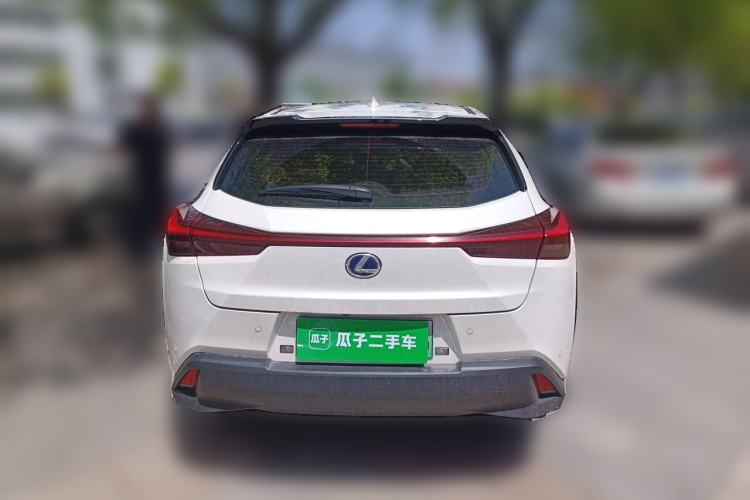 Used Lexus UX New Energy 2020 300e Pure·Joy Edition Rear