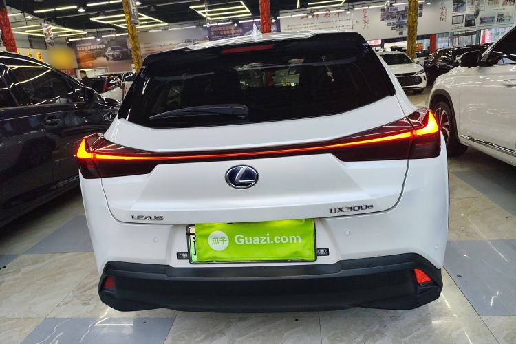 Used Lexus UX New Energy 2020 300e Pure·Joy Edition Rear