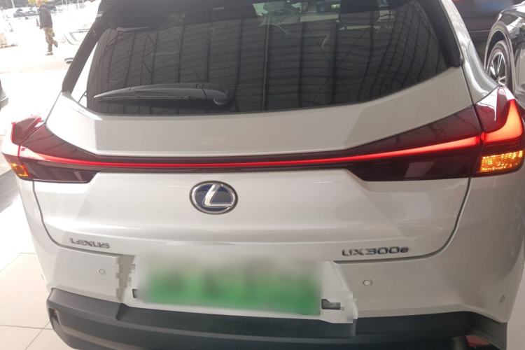 Used Lexus UX New Energy 2020 300e Pure·Joy Edition Rear