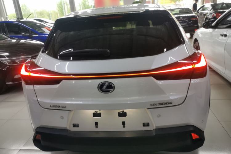 Used Lexus UX New Energy 2020 300e Pure·Joy Edition Rear