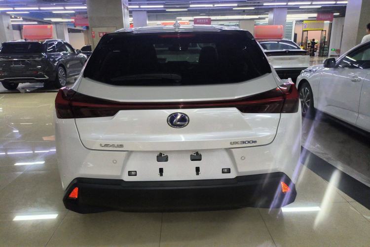 Used Lexus UX New Energy 2020 300e Pure·Joy Edition Rear