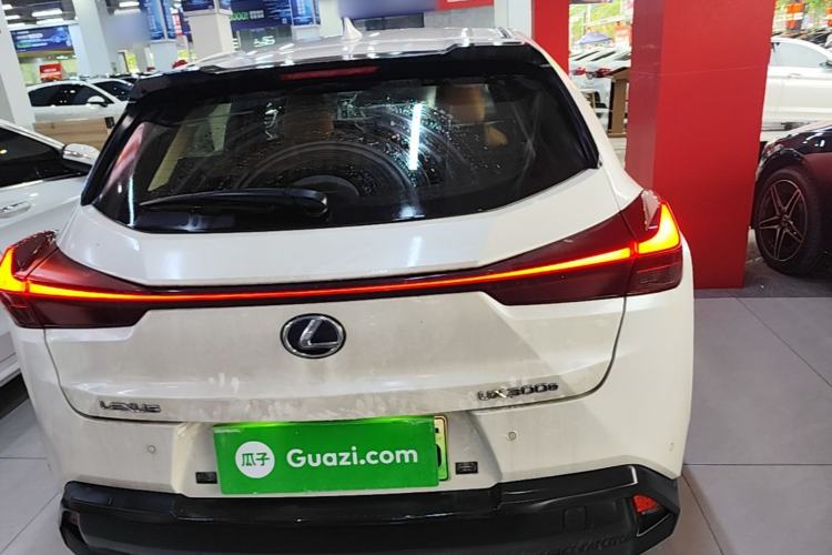 Used Lexus UX New Energy 2020 300e Pure·Joy Edition Rear