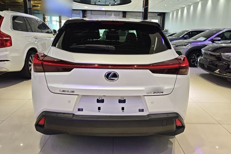 Used Lexus UX New Energy 2020 300e Pure·Joy Edition Rear