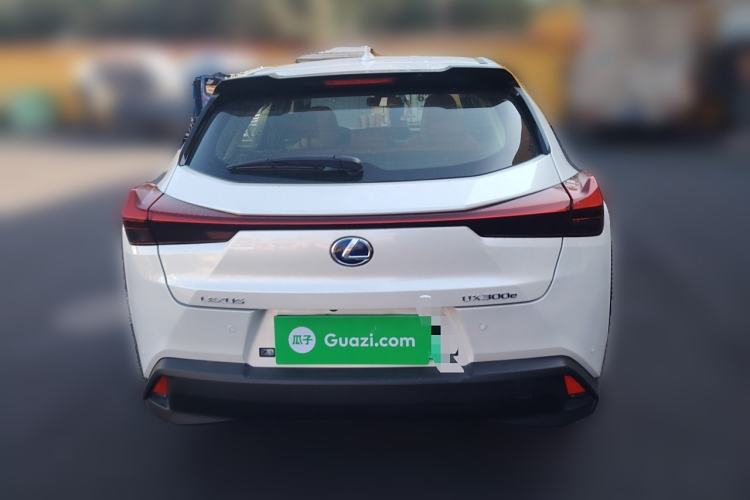 Used Lexus UX New Energy 2020 300e Pure·Joy Edition Rear