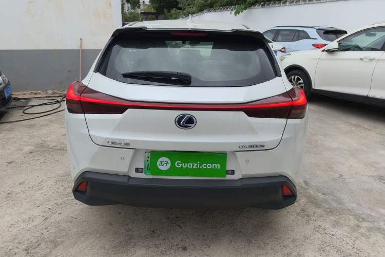 Used Lexus UX New Energy 2020 300e Pure·Joy Edition Rear