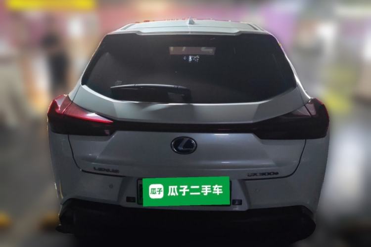 Used Lexus UX New Energy 2020 300e Pure·Joy Edition Rear