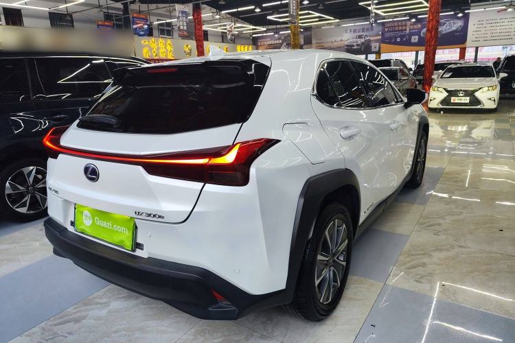 Used Lexus UX New Energy 2020 300e Pure·Joy Edition Rear Right 45 Deg