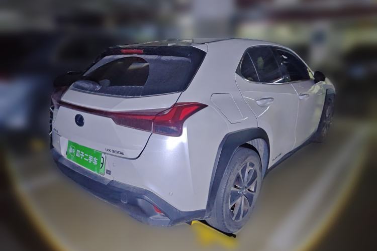 Used Lexus UX New Energy 2020 300e Pure·Joy Edition Rear Right 45 Deg