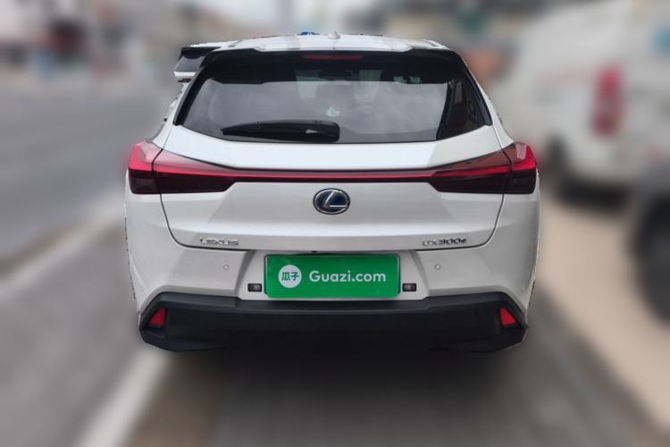 Used Lexus UX New Energy 2020 300e Pure·Joy Edition Rear