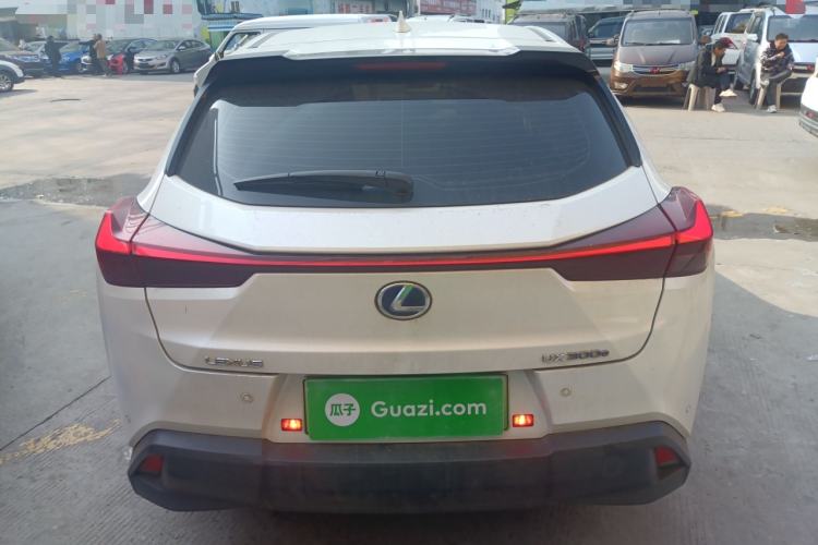 Used Lexus UX New Energy 2020 300e Pure·Joy Edition Rear