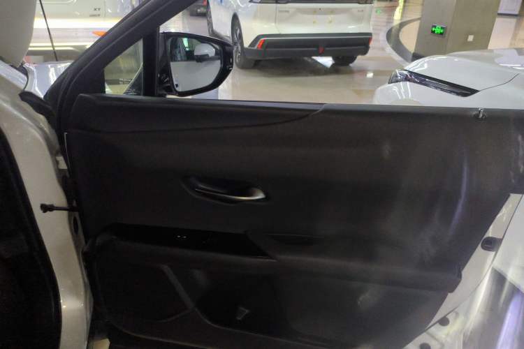 Used Lexus UX New Energy 2020 300e Pure·Joy Edition Right Front Door Interior