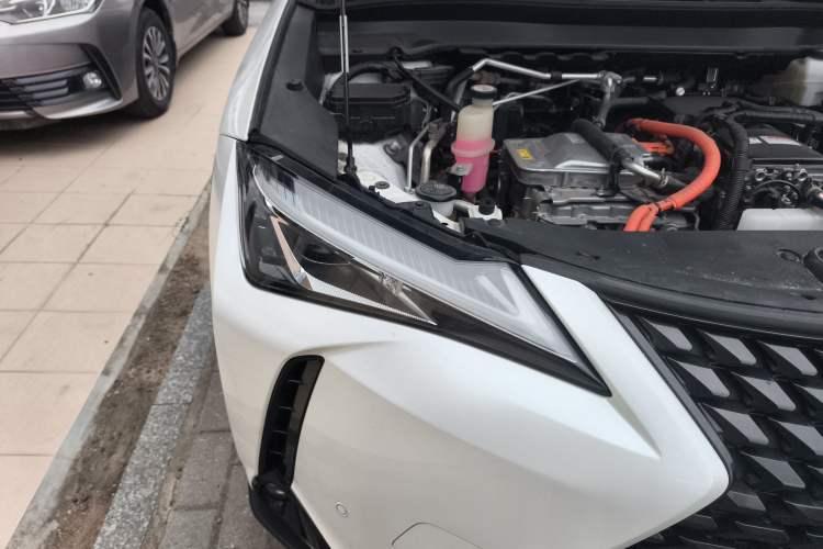 Used Lexus UX New Energy 2020 300e Pure·Joy Edition Right Front Headlight