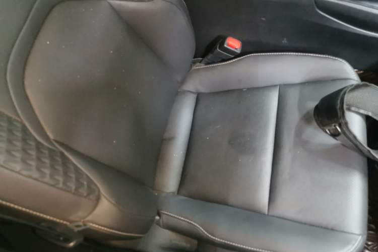 Used Lexus UX New Energy 2020 300e Pure·Joy Edition Right Front Seat