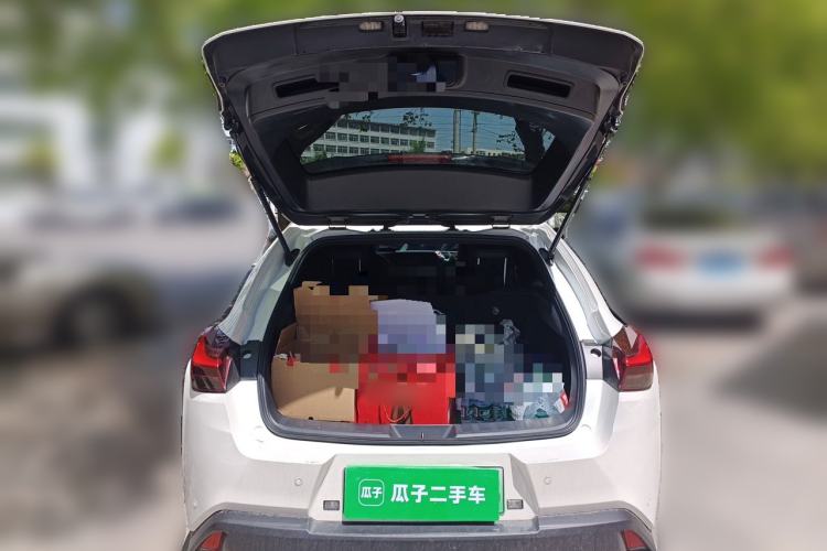 Used Lexus UX New Energy 2020 300e Pure·Joy Edition Trunk