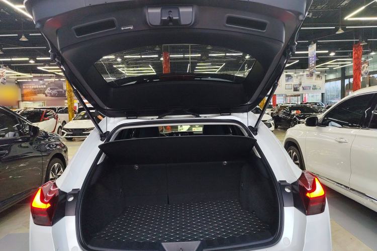 Used Lexus UX New Energy 2020 300e Pure·Joy Edition Trunk
