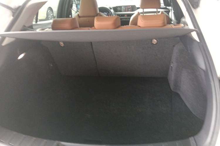 Used Lexus UX New Energy 2020 300e Pure·Joy Edition Trunk