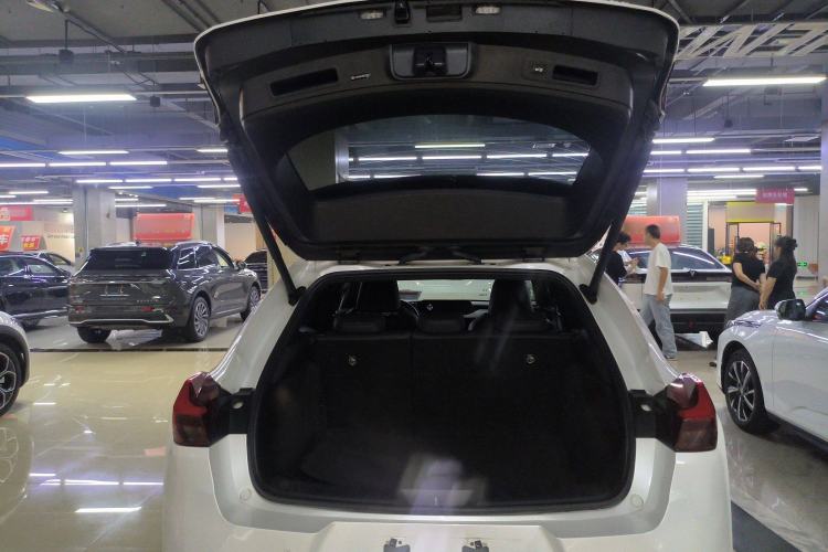 Used Lexus UX New Energy 2020 300e Pure·Joy Edition Trunk