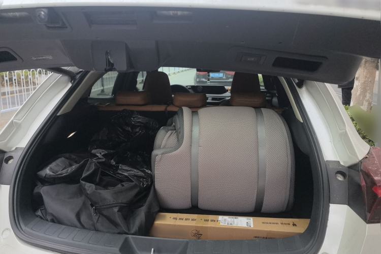 Used Lexus UX New Energy 2020 300e Pure·Joy Edition Trunk