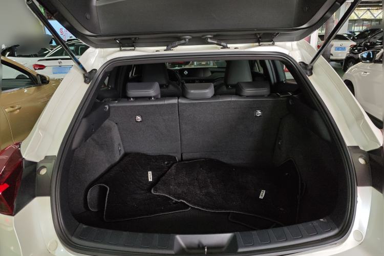 Used Lexus UX New Energy 2020 300e Pure·Joy Edition Trunk
