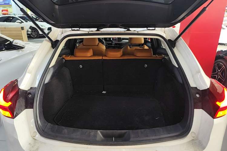 Used Lexus UX New Energy 2020 300e Pure·Joy Edition Trunk