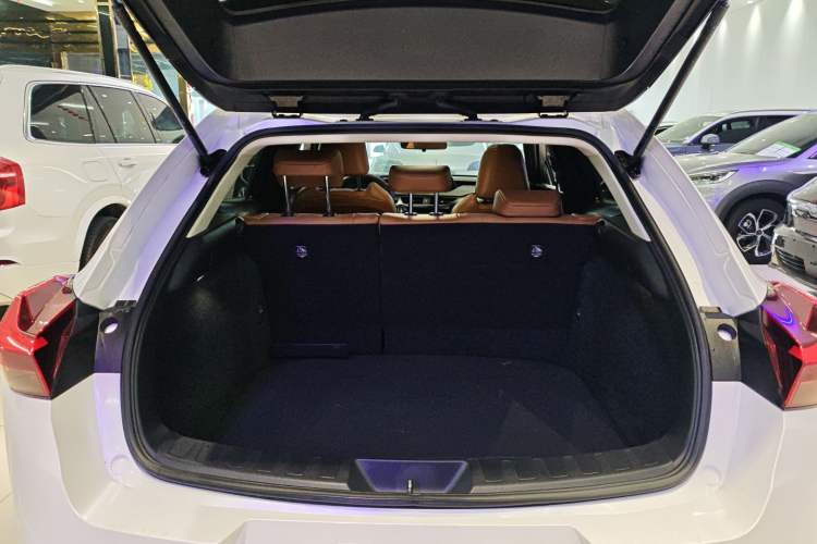 Used Lexus UX New Energy 2020 300e Pure·Joy Edition Trunk