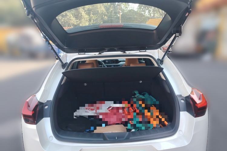 Used Lexus UX New Energy 2020 300e Pure·Joy Edition Trunk