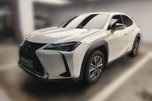 Lexus UX New Energy 2020 300e Pure·Joy Edition usata