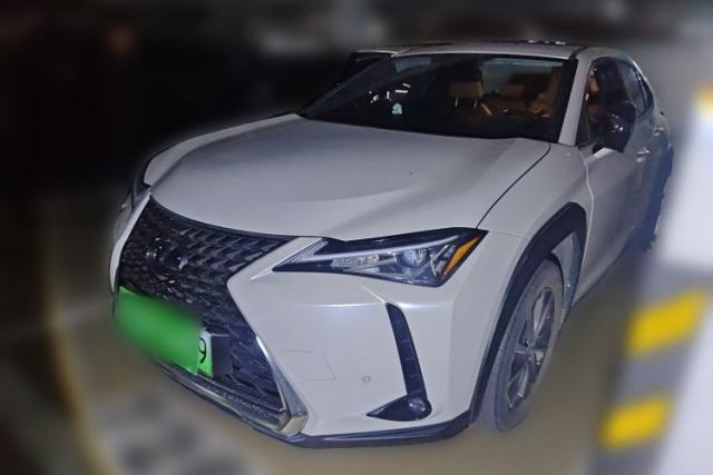 Used Lexus UX New Energy 2020 300e Pure·Joy Edition