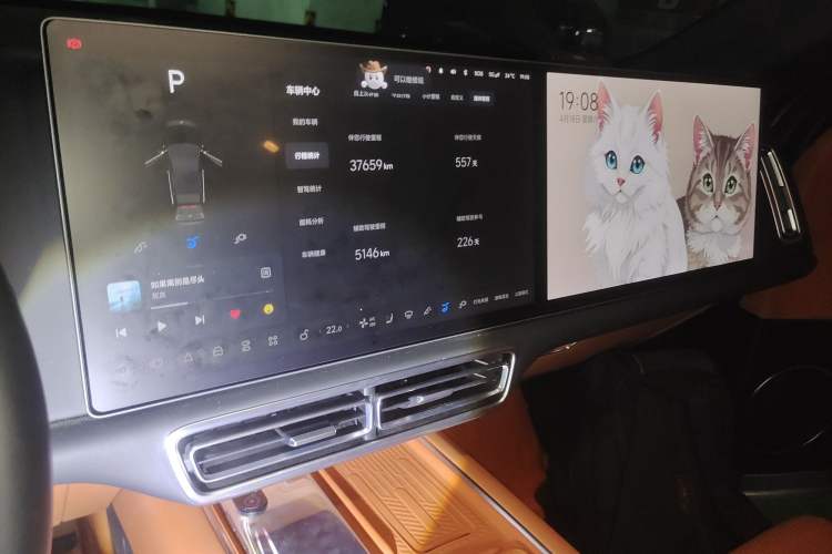 Used Li Auto L6 2024 Pro Model Audio And AC Panel