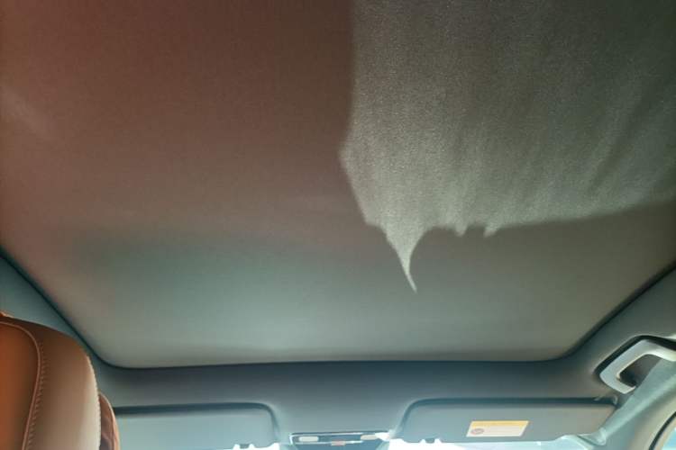 Used Li Auto L6 2024 Pro Model Headliner