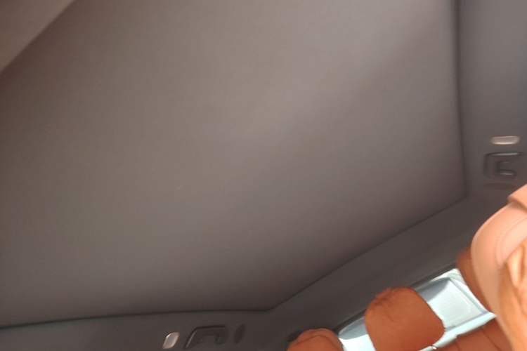 Used Li Auto L6 2024 Pro Model Headliner