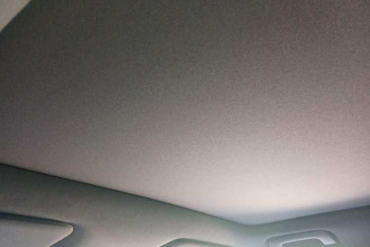 Used Li Auto L6 2024 Pro Model Headliner