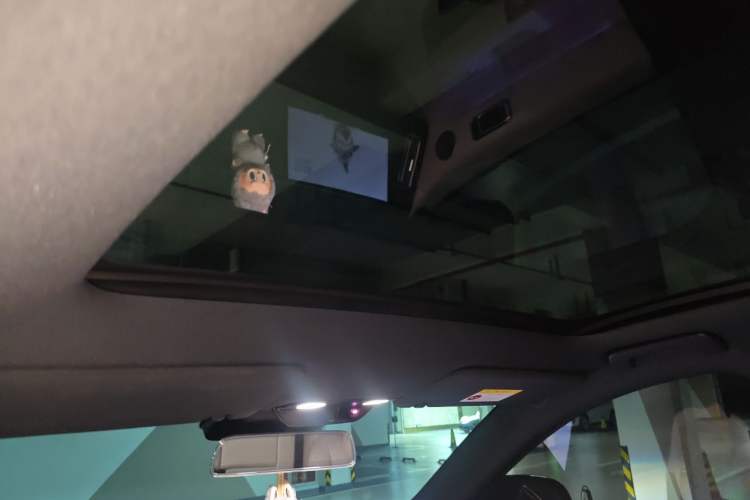 Used Li Auto L6 2024 Max Headliner