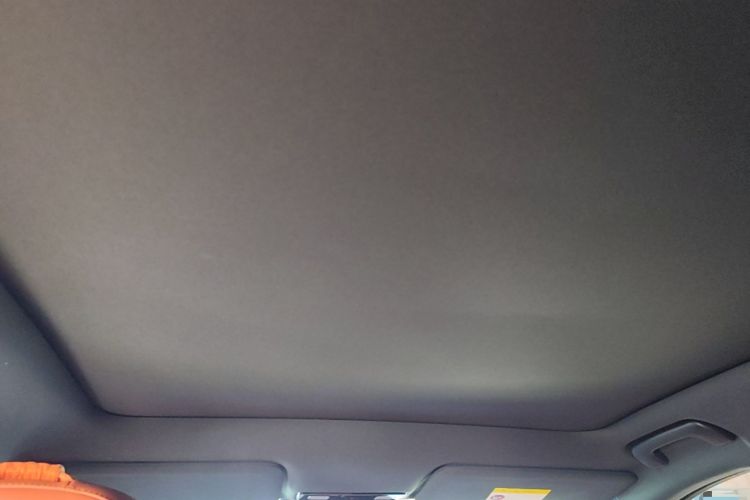 Used Li Auto L6 2024 Pro Model Headliner