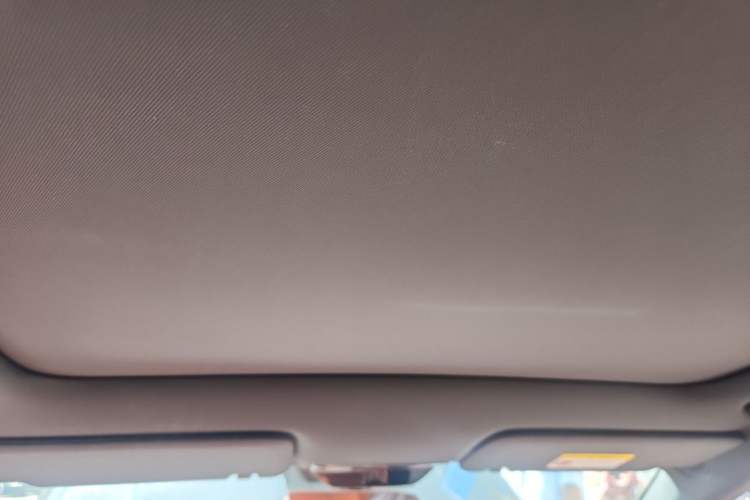Used Li Auto L6 2024 Pro Model Headliner