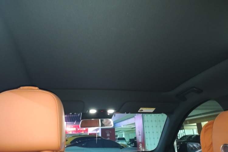 Used Li Auto L6 2024 Pro Model Headliner